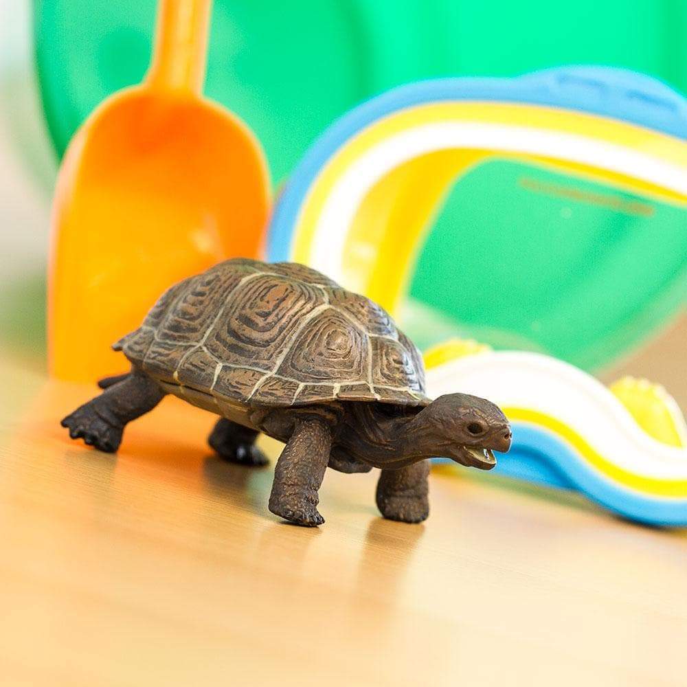 Tortoise Baby Toy