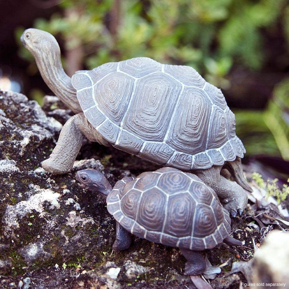 Tortoise Baby Toy