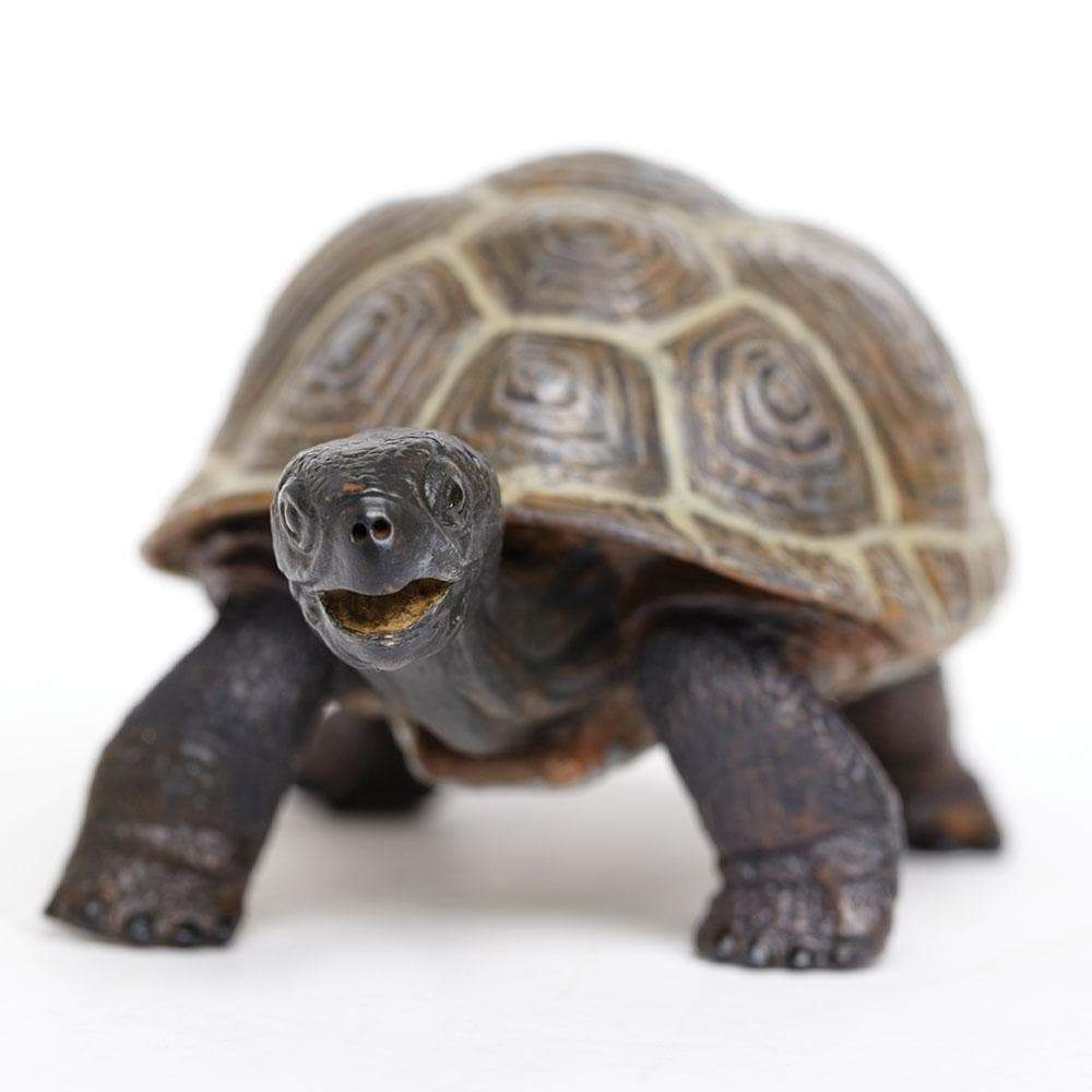 Tortoise Baby Toy